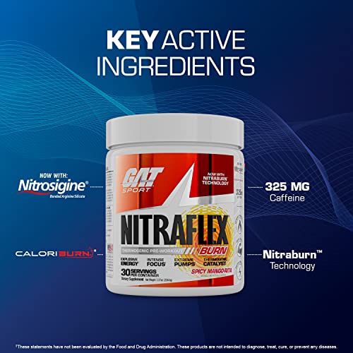 GAT SPORT NITRAFLEX Burn, Pre Workout Thermogenic Powder, Apple Melon, 30 Servings - TrustMedUSA