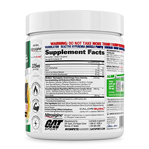 GAT SPORT NITRAFLEX Burn, Pre Workout Thermogenic Powder, Apple Melon, 30 Servings - TrustMedUSA