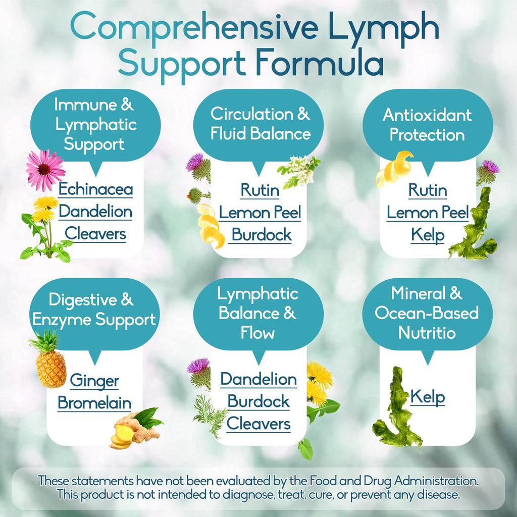 GAVYNETH Lymphatic Drainage Supplements for Lymph System Support – Echinacea, Dandelion & Burdock for Immune & Circulation Support, Vegan Herbal Formula for Women & Men, 60 Capsules - Maple Wellness Supplements