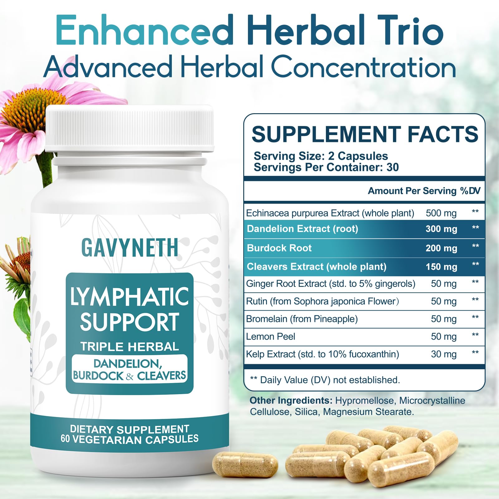 GAVYNETH Lymphatic Drainage Supplements for Lymph System Support – Echinacea, Dandelion & Burdock for Immune & Circulation Support, Vegan Herbal Formula for Women & Men, 60 Capsules - Maple Wellness Supplements