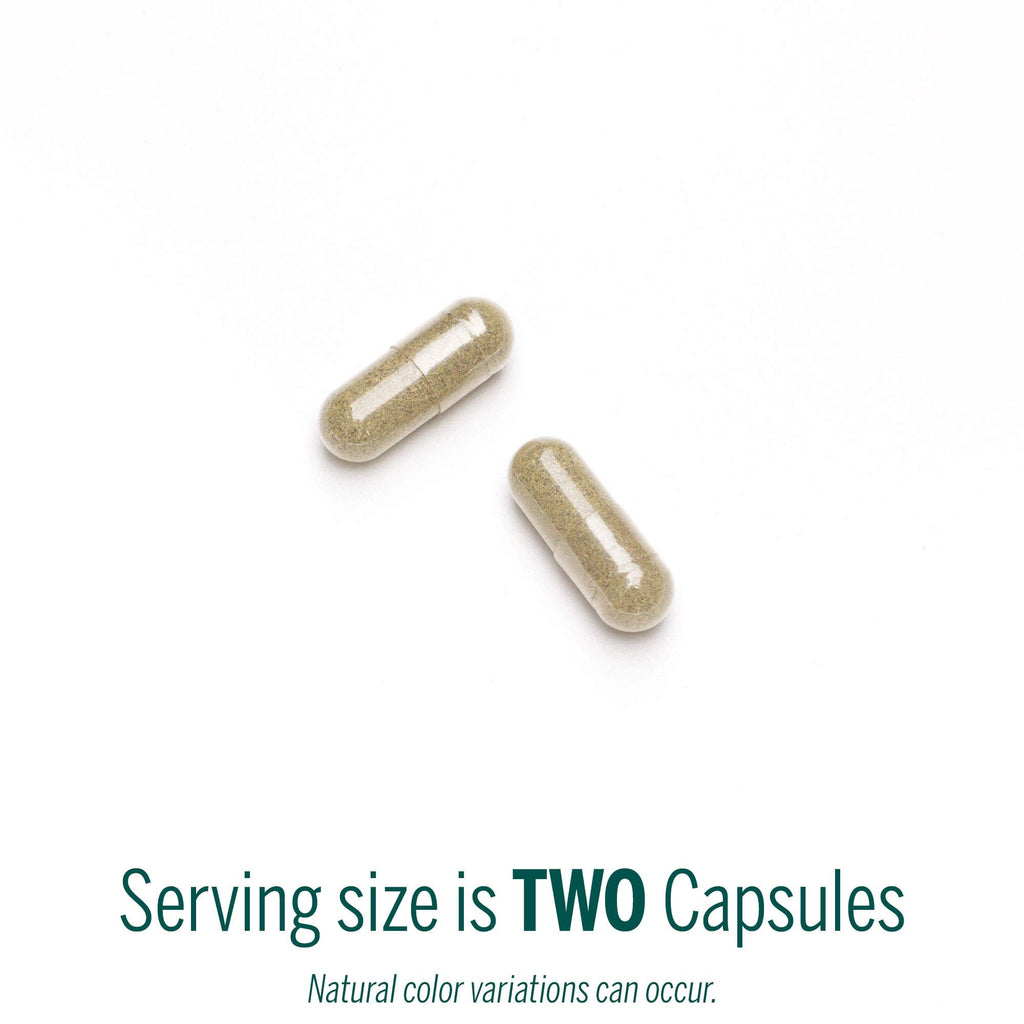 Genestra Brands Black Walnut Capsules | Herbal Formula to Support Digestive Health | 90 Capsules - TrustMedUSA
