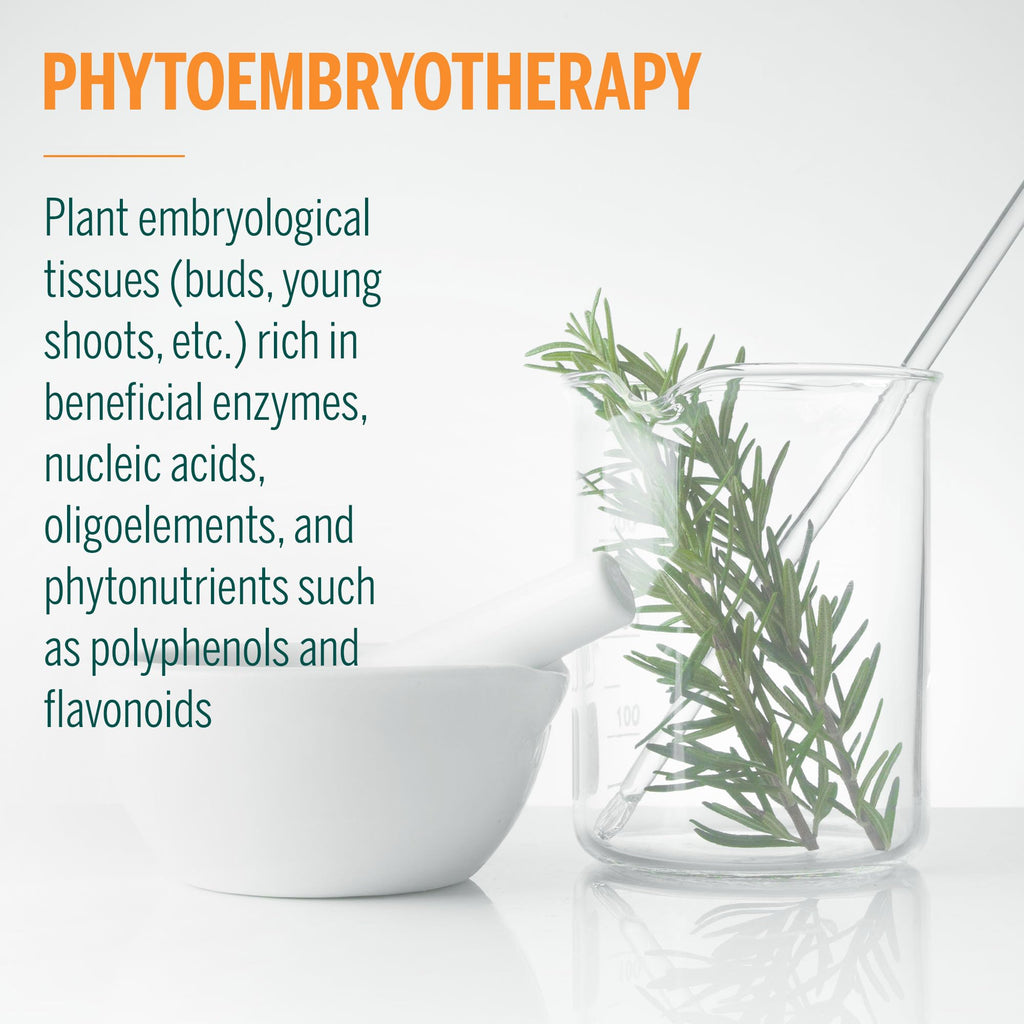 Genestra Brands Calm-gen | Silver Linden, Fig, and Hawthorn Herbal Supplement | 0.5 fl. oz. - TrustMedUSA