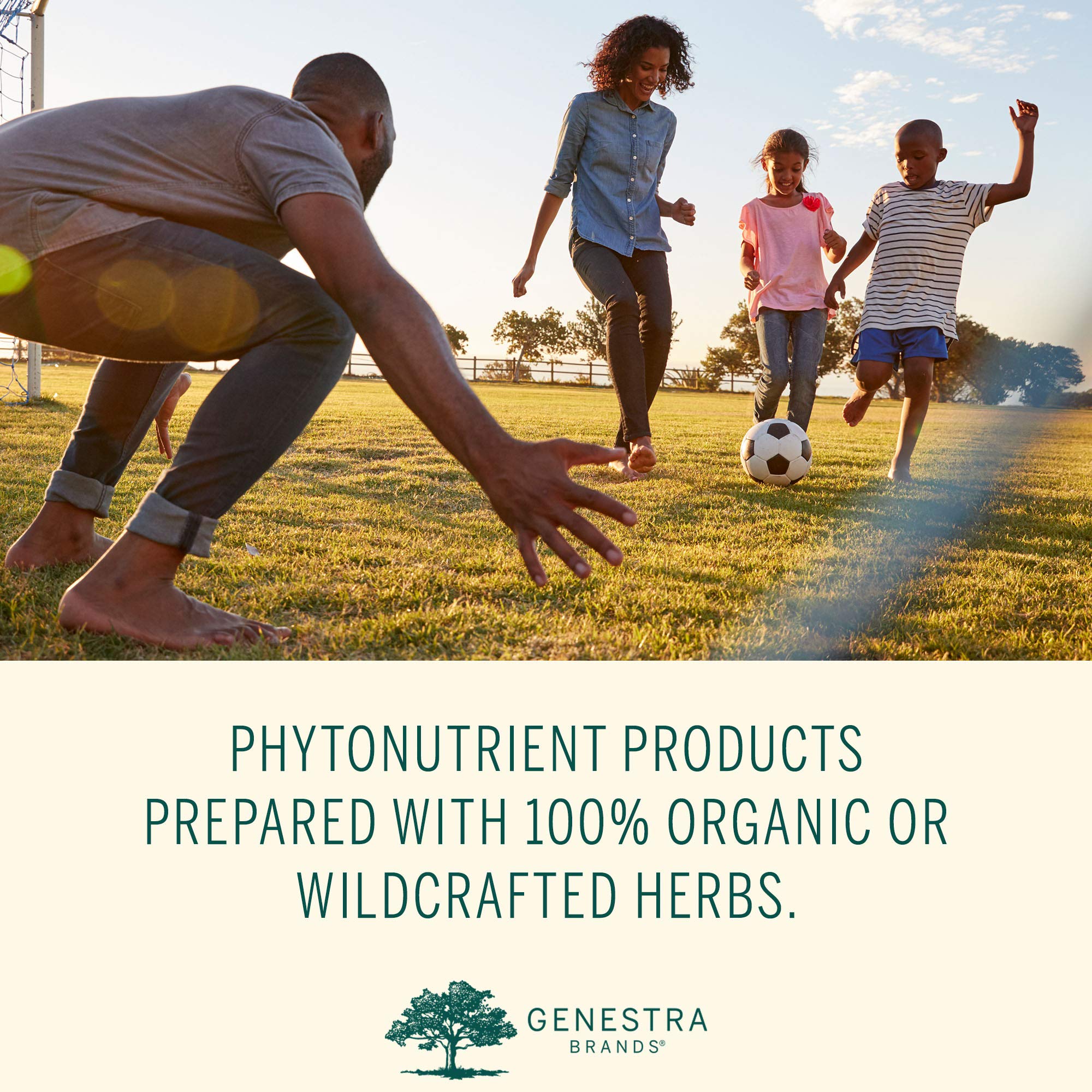 Genestra Brands Phyto Greens Capsules | Vitamins, Dietary Fiber and Enzymes for Optimum Nutrition | 180 Capsules - TrustMedUSA