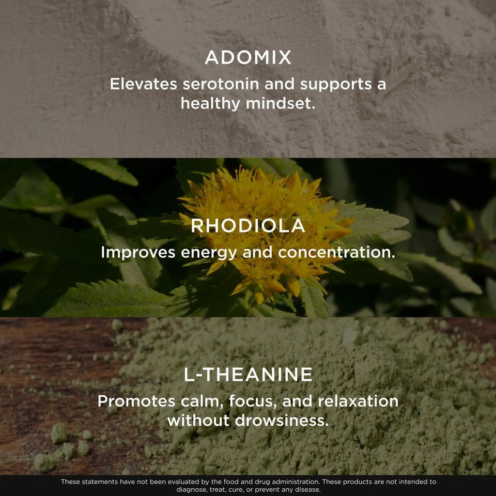 Genius Joy, Nootropic Mood Enhancer Supplement - Support Cognitive Health, Enhance Mood & Neural Function with Brain Boosting L-Theanine, Panax Ginseng & SAM-e - Organic, Non-GMO, & Gluten-Free - TrustMedUSA