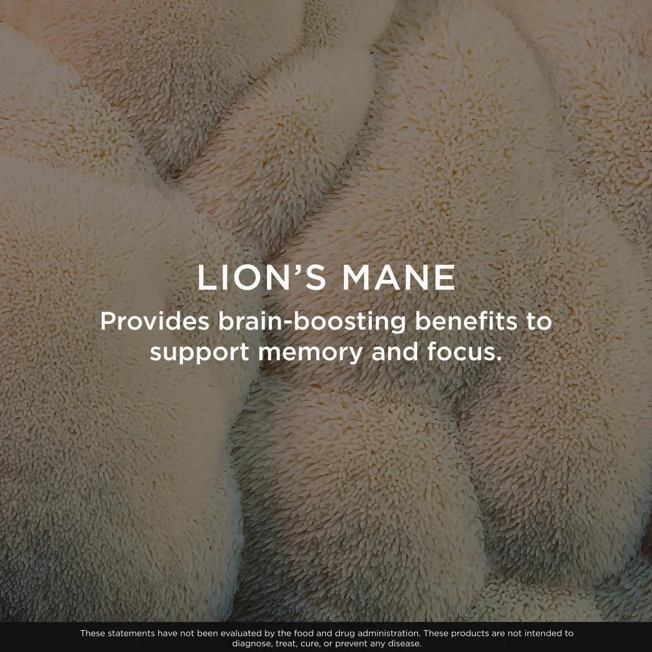 Genius Lion's Mane Soft Chews Supplement – Nootropic Mushroom for Focus, Clarity, Memory, Energy, Brain Health Support – Salted Caramel Flavor - TrustMedUSA