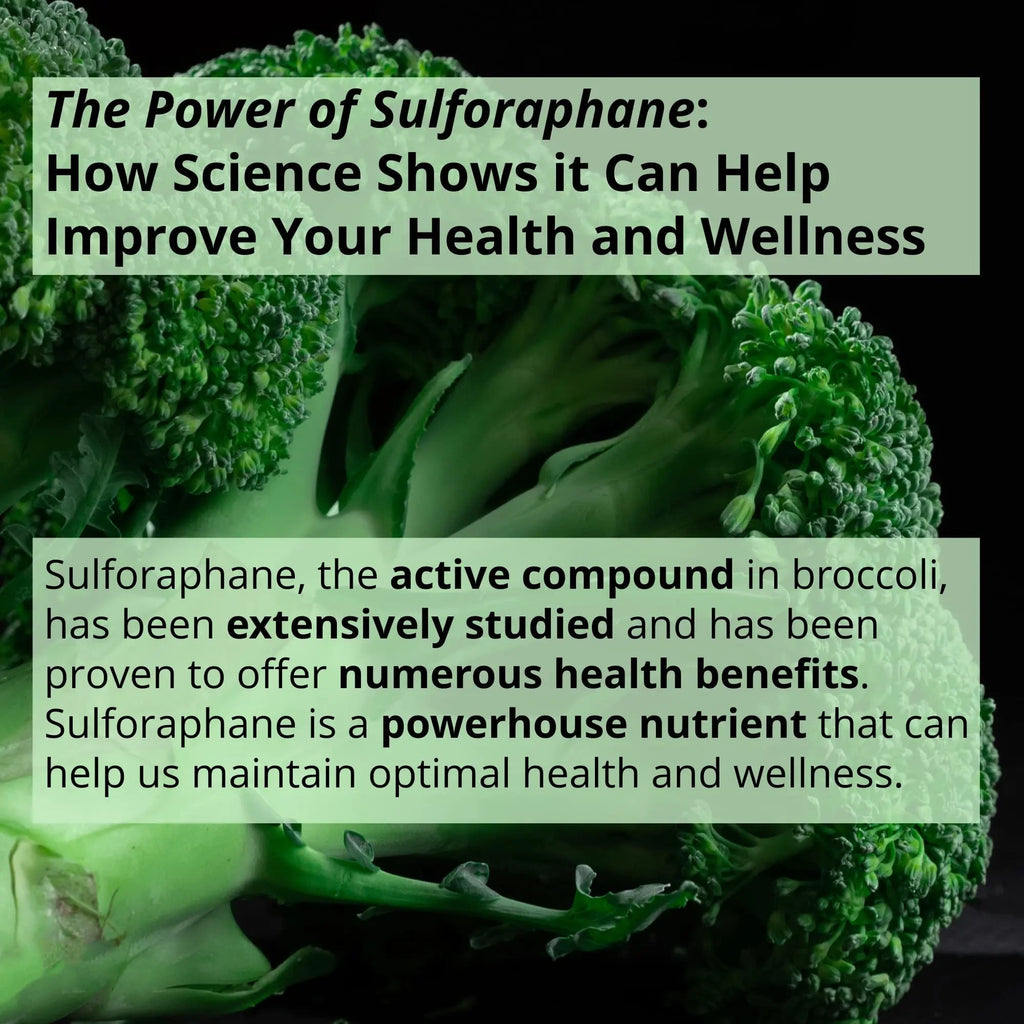 GIGANTIC Sulforaphane + Myrosinase 10mg (120 Capsules) - Includes Vitamin C - TrustMedUSA