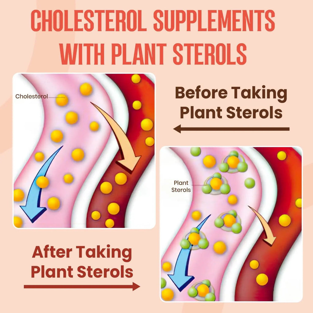 Glorithiventa Cholesterol & Booty Gummies Supplement Bundle - Plant Sterols & Stanols + CurvaBoost BBL Herb Blend & Creatine Monohydrate - Cholesterol Normal Level, Booty, Curves & Energy - TrustMedUSA