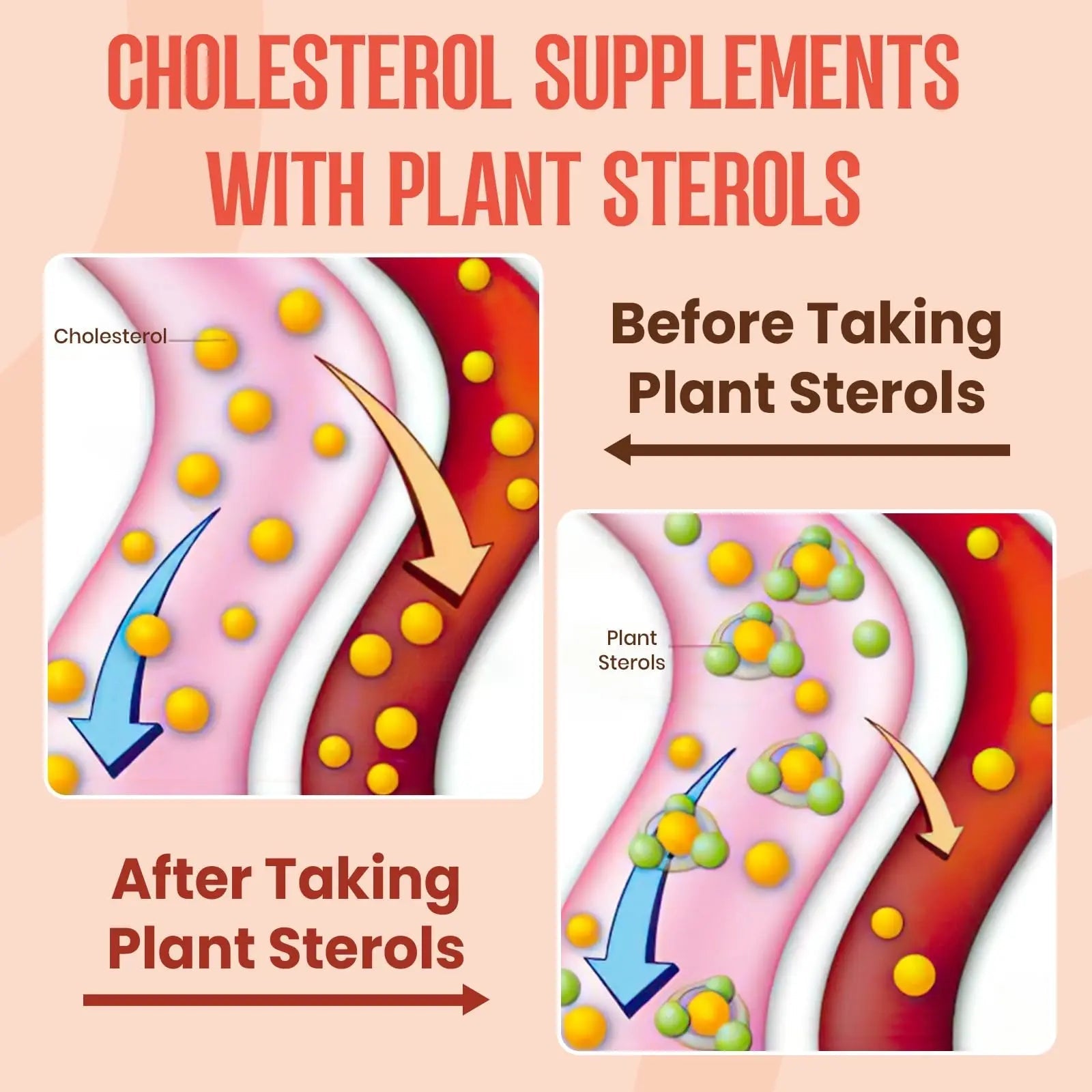 Glorithiventa Cholesterol & Booty Gummies Supplement Bundle - Plant Sterols & Stanols + CurvaBoost BBL Herb Blend & Creatine Monohydrate - Cholesterol Normal Level, Booty, Curves & Energy - TrustMedUSA
