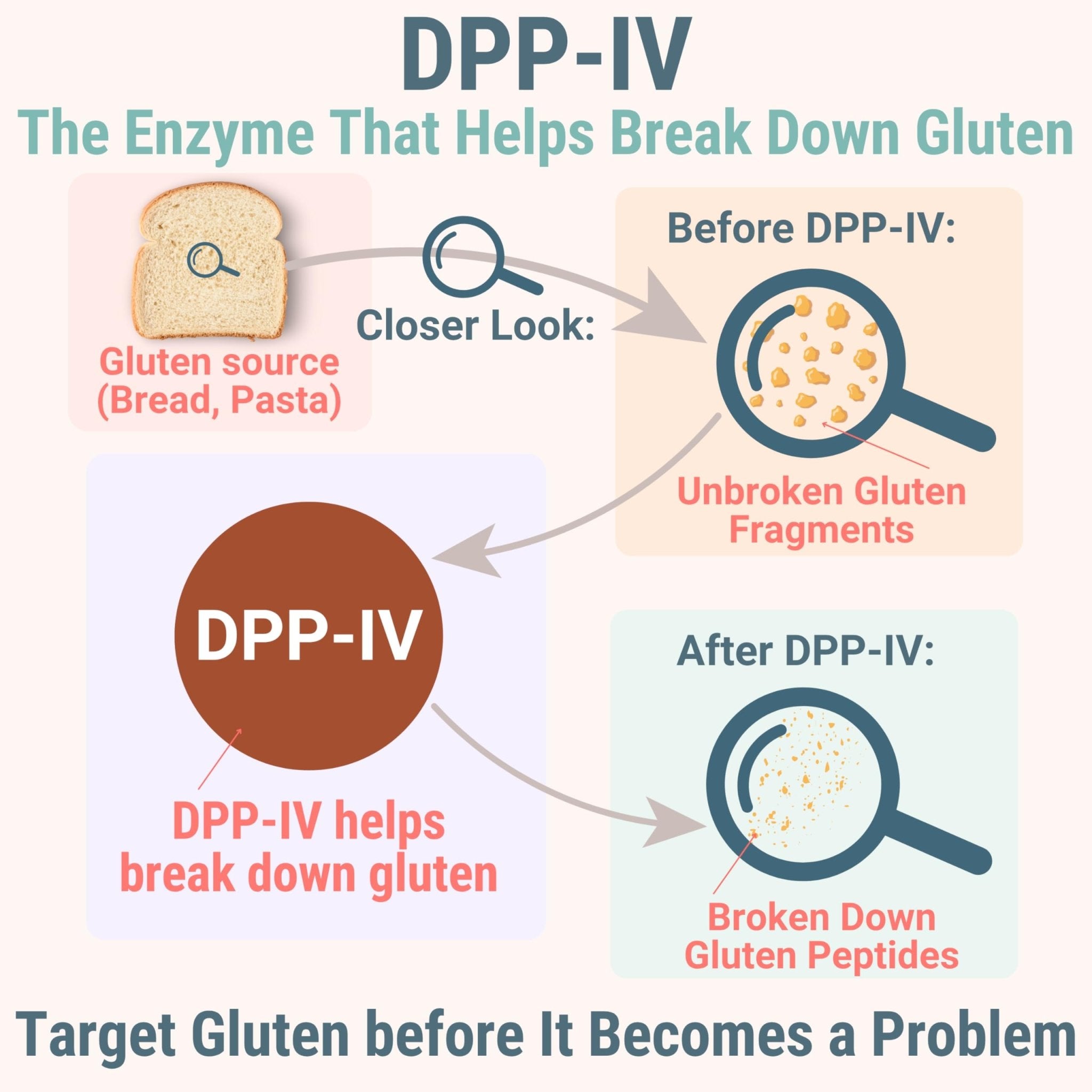 Gluten & Lactase Digestive Enzyme Gummies – Lactase Pancreatic Enzymes with DPP‑IV Lipase Gluco‑Amylase Lactase, Drops Chewables Capsules Pills Powder Supplement Alt, Pancreatic Support, for Kids - TrustMedUSA
