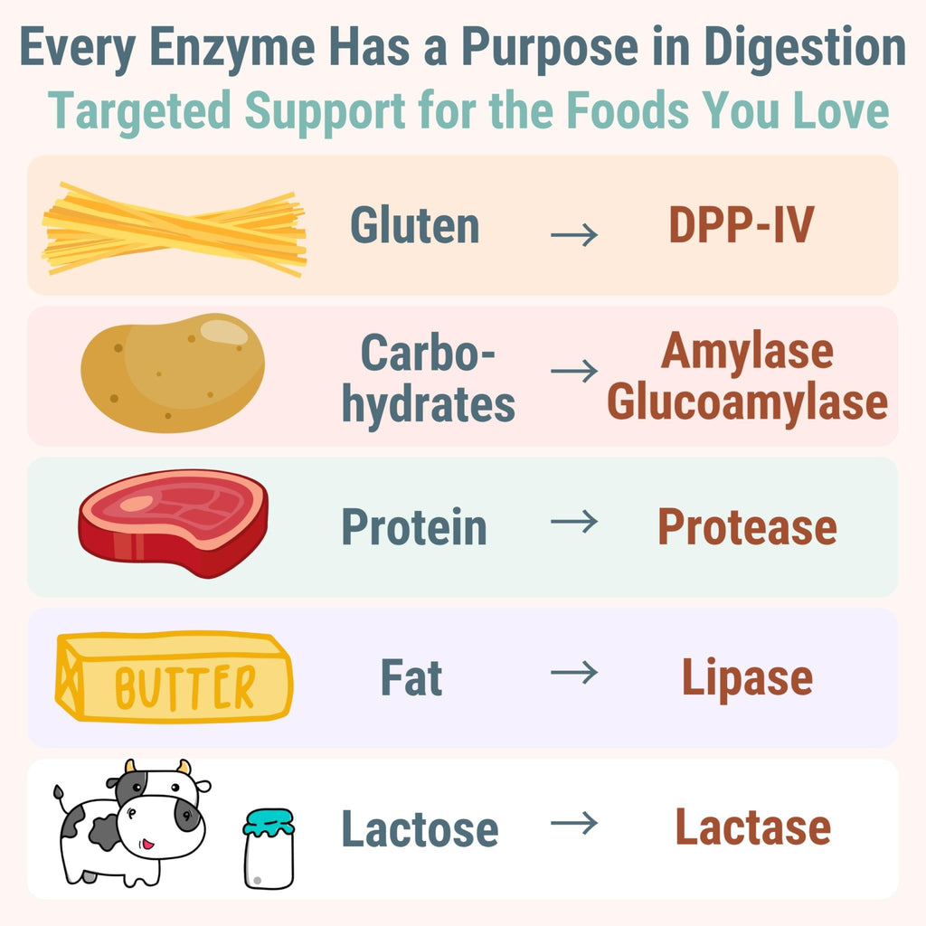 Gluten & Lactase Digestive Enzyme Gummies – Lactase Pancreatic Enzymes with DPP‑IV Lipase Gluco‑Amylase Lactase, Drops Chewables Capsules Pills Powder Supplement Alt, Pancreatic Support, for Kids - TrustMedUSA