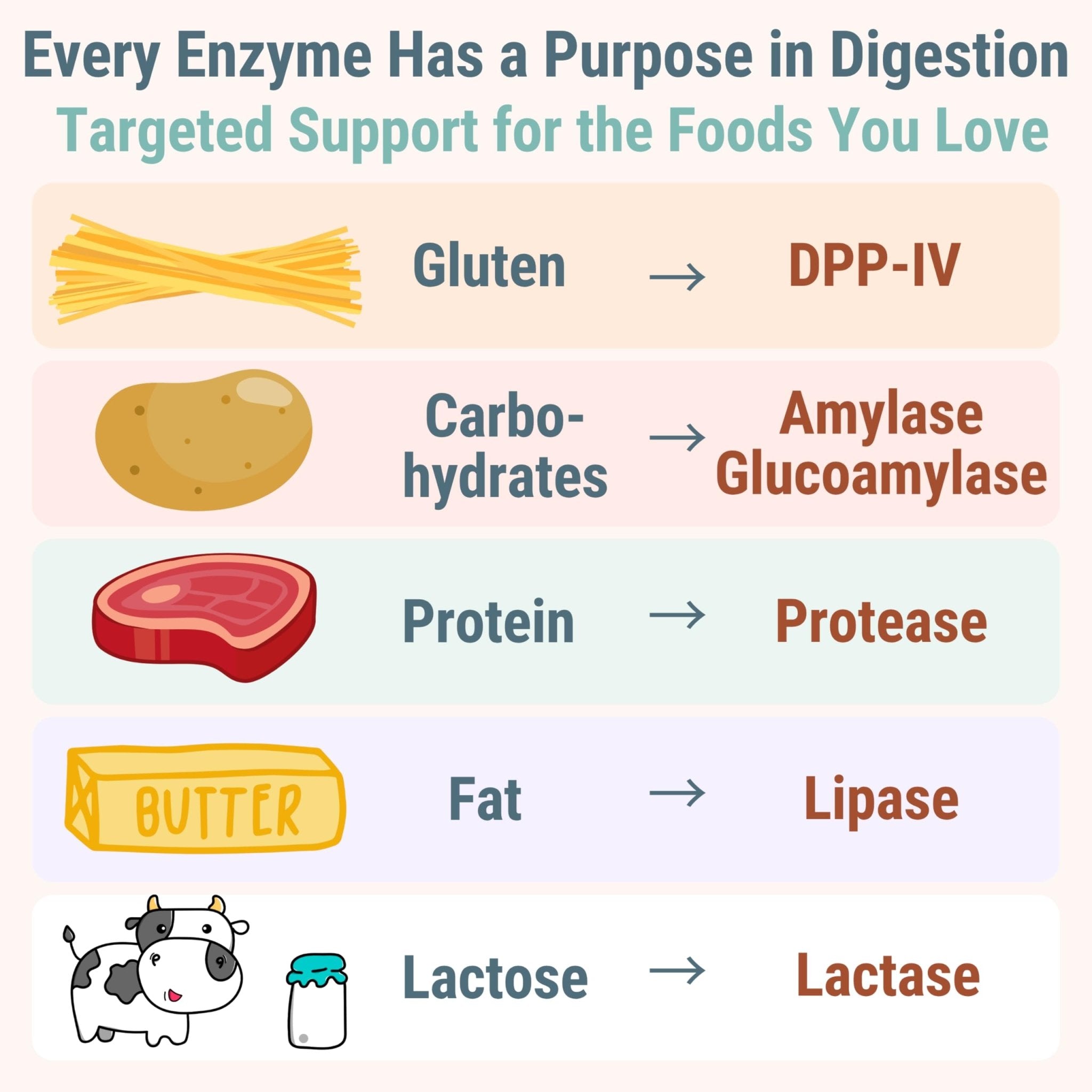 Gluten & Lactase Digestive Enzyme Gummies – Lactase Pancreatic Enzymes with DPP‑IV Lipase Gluco‑Amylase Lactase, Drops Chewables Capsules Pills Powder Supplement Alt, Pancreatic Support, for Kids - TrustMedUSA