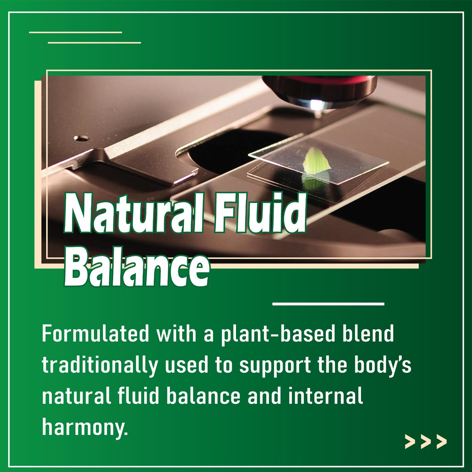 gmpdose Alora Lymphatic Drainage Drops, Promotes The Efficient Drainage of The Lymphatic System to Promote Overall Health 2 fl oz (1pc) - Maple Wellness Supplements