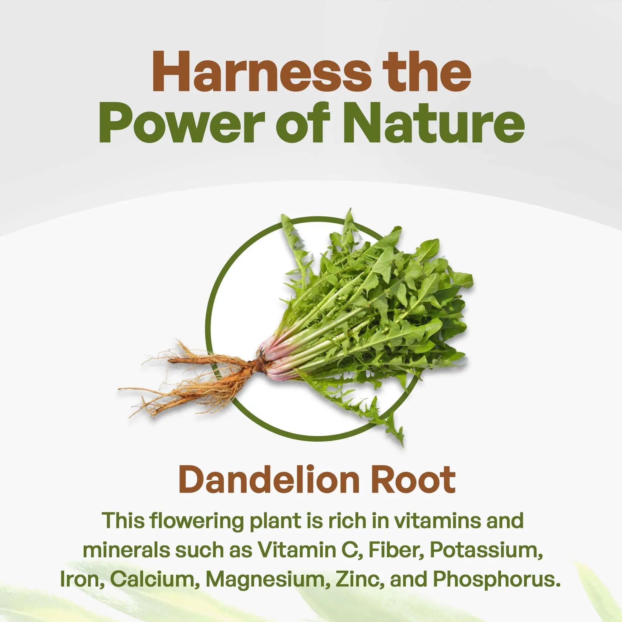 Go Nutra - Dandelion Root Powder, Potent 10:1 Dandelion Root Extract with 4% Flavonoids - TrustMedUSA
