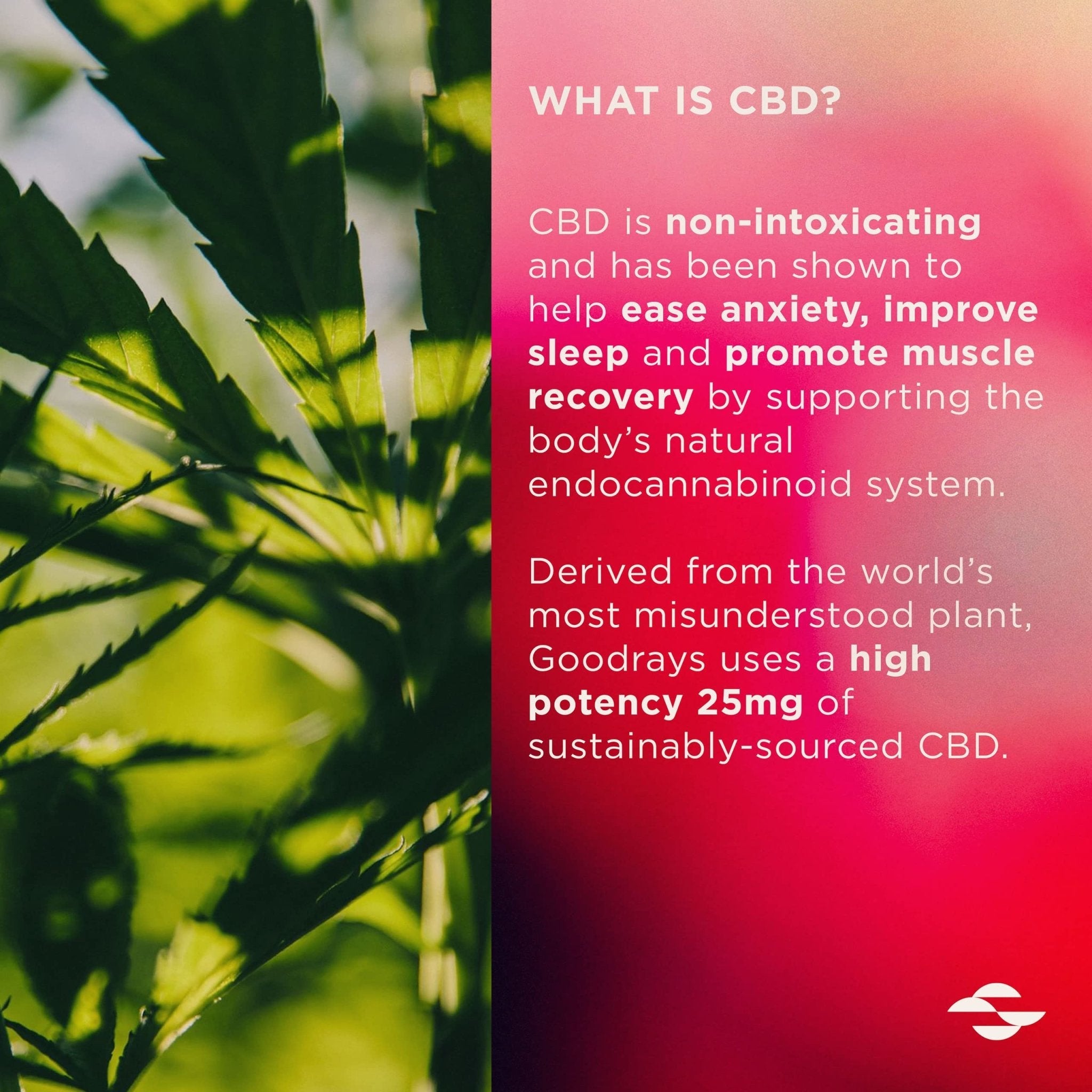 Goodrays - CBD Gummies - High Strength 30 x 25mg Mixed Fruits CBD Edibles - Maple Wellness Supplements