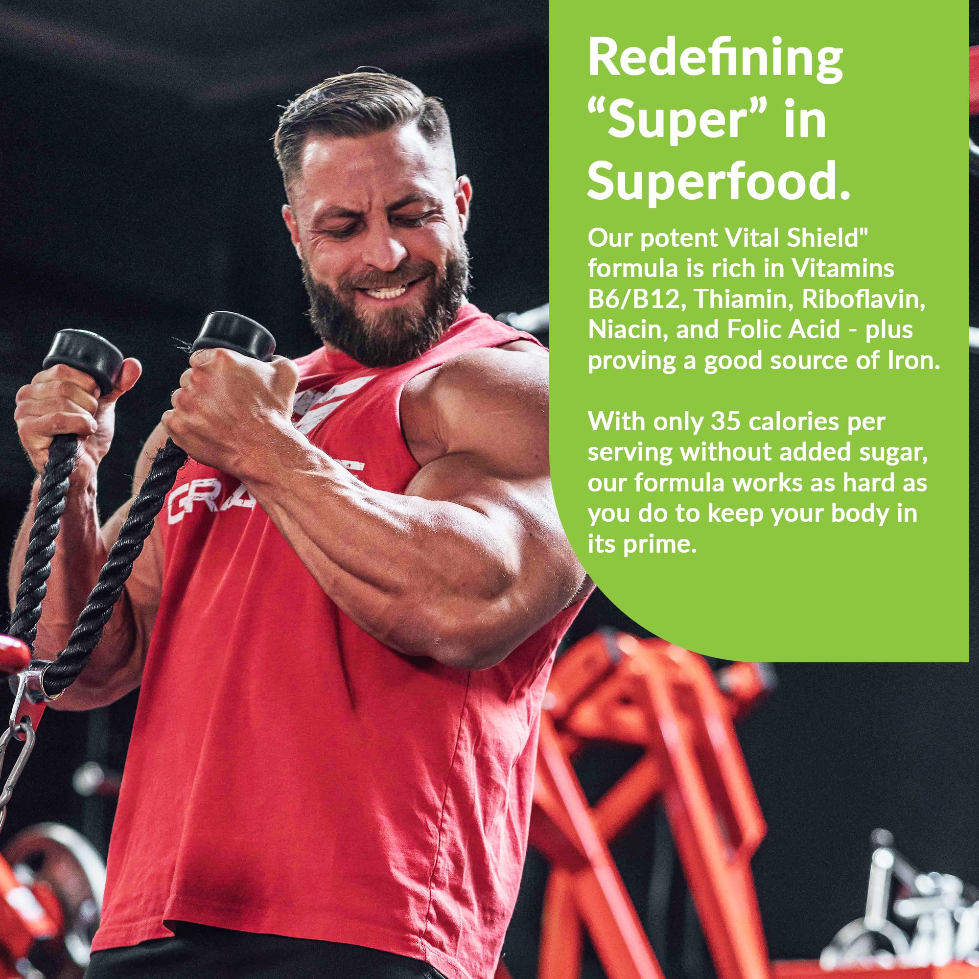 Granite Nutrition Vital Shield - USDA Organic Superfood Greens with Mushrooms & Tart Cherry – Supports Energy, Immune Function & Digestive Health – Lemon Lime Flavor (30 Servings) - TrustMedUSA