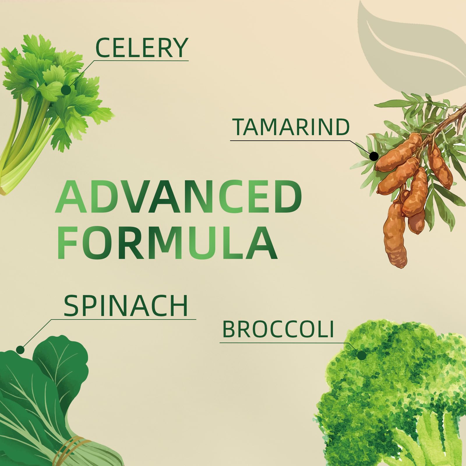 Greenshoots Super Food Gummies with Super Greens Blend, Vitamin A & C – Broccoli, Spinach, Moringa & Chlorella – Vegan, Sugar Free, Daily Nutrition Support, 60 Gummies - TrustMedUSA