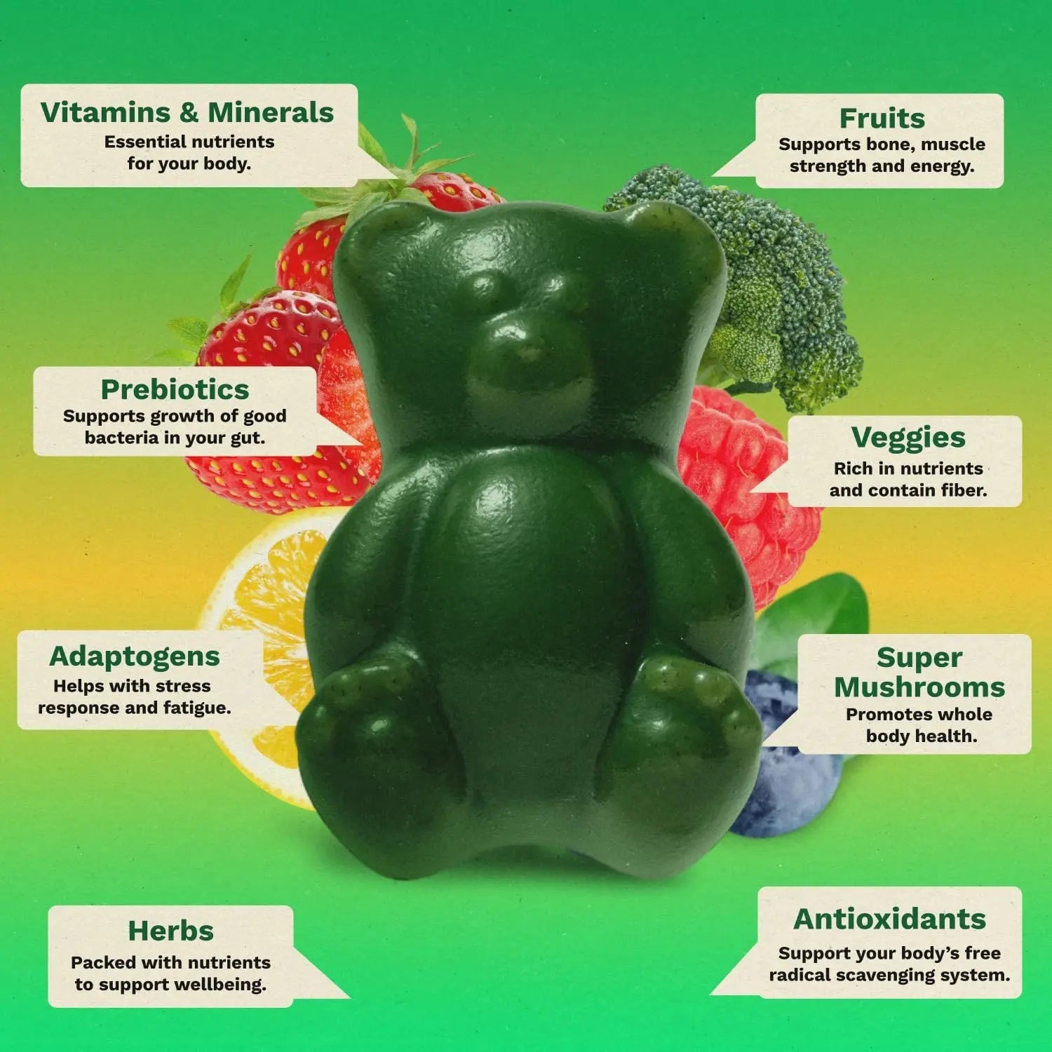 Gruns Sugar-Free Super Greens Gummies, Multivitamin Superfood Gummy Bears, Spirulina, Chlorella, Prebiotics & Fiber gummies for Digestive Health, Adaptogens Supplement, 20 Vitamins & Minerals, 10 pack - TrustMedUSA