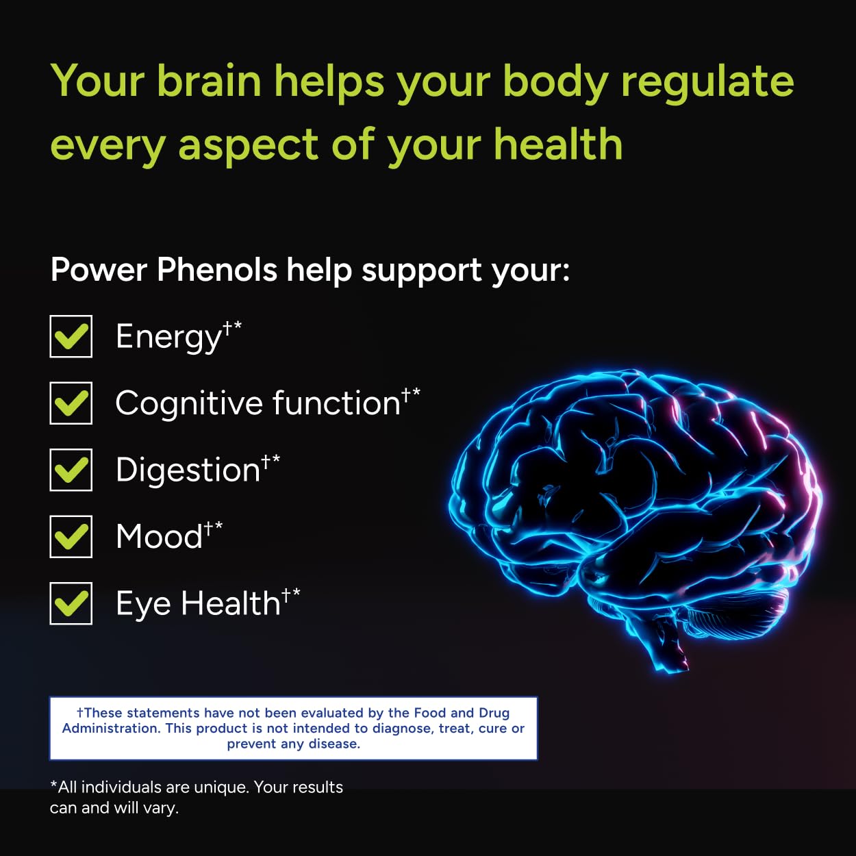 Gundry MD Power Phenols Brain Health Supplement for Cognition, Focus, Motivation, Productivity, and Energy - (30 Servings) - TrustMedUSA