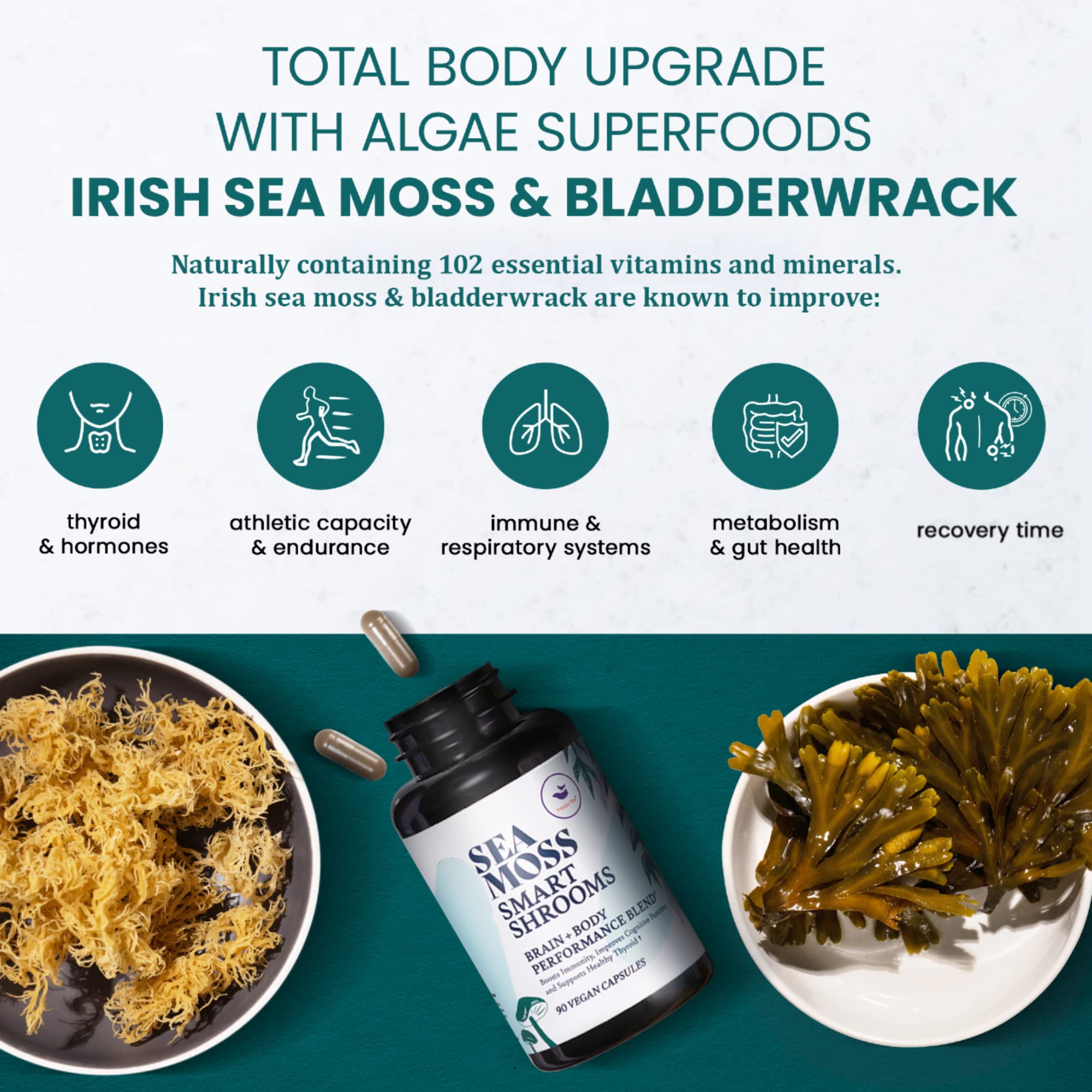 HAPPY FOX Irish Sea Moss Capsules & Mushroom Complex - Organic Seamoss with Adaptogens for Brain Health, 1500mg, 90 Vegan Capsules, Organic Mushroom Supplement - TrustMedUSA