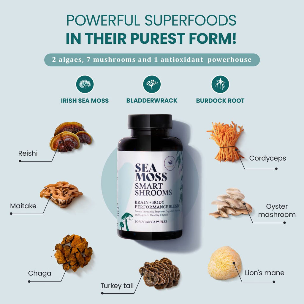 HAPPY FOX Irish Sea Moss Capsules & Mushroom Complex - Organic Seamoss with Adaptogens for Brain Health, 1500mg, 90 Vegan Capsules, Organic Mushroom Supplement - TrustMedUSA