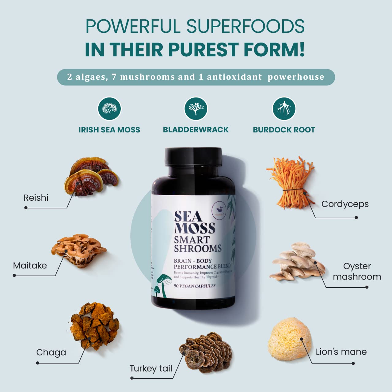 HAPPY FOX Irish Sea Moss Capsules & Mushroom Complex - Organic Seamoss with Adaptogens for Brain Health, 1500mg, 90 Vegan Capsules, Organic Mushroom Supplement - TrustMedUSA
