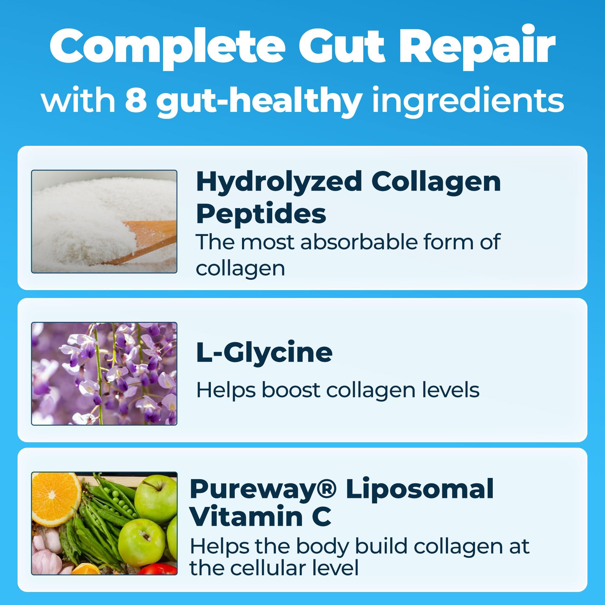 Happy Mammoth Complete Gut Repair Probiotic, Prebiotic, Fiber & Collagen Supplement for Gut Health, Digestion, Healthy Gut Microbiome, Reduces Constipation & Bloating 24 Servings, Vanilla Flavor - Maple Wellness Supplements