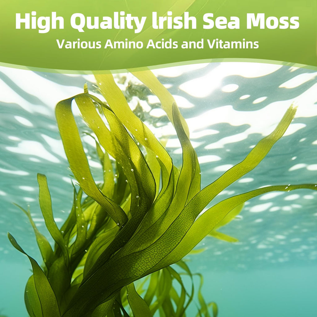 HEALOADING Sea Moss Capsules：Wildcrafted Organic Irish Seamoss & Bladderwack - Rich in Minerals, Supports Thyroid Health, Digestion, Skin & Immune System - Vegan, Non-GMO - TrustMedUSA