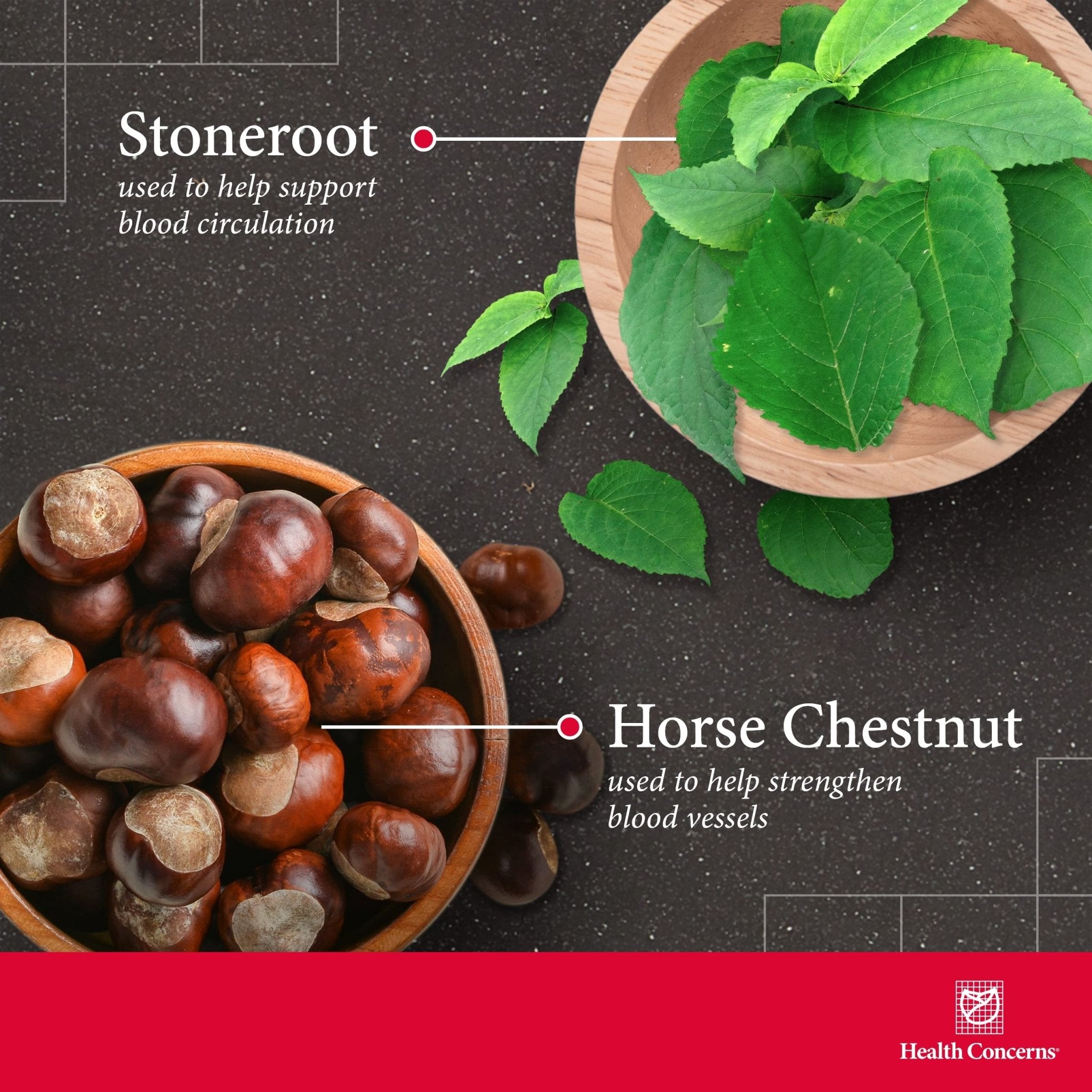 Health Concerns Formula V – Blood Flow & Circulation Support Supplement – Vein Health for Swelling, Leg Cramps, Varicose Veins, Inflammation & Heavy Legs – Chinese Herbal Formula – 90 Capsules - TrustMedUSA