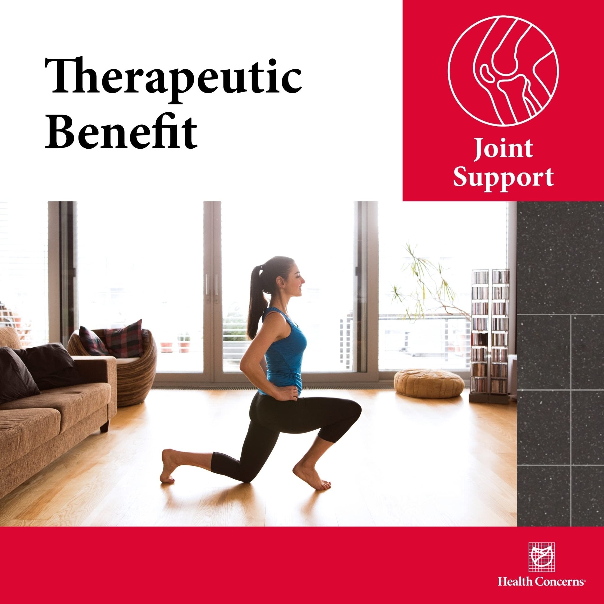 Health Concerns Mobility 3 – Joint & Muscle Support – Herbal Stiffness Supplement for Men & Women – Dong Quai, Ginseng, Fo-Ti, Loranthus & Ginger Formula – Chinese Support – 90 Capsules - TrustMedUSA
