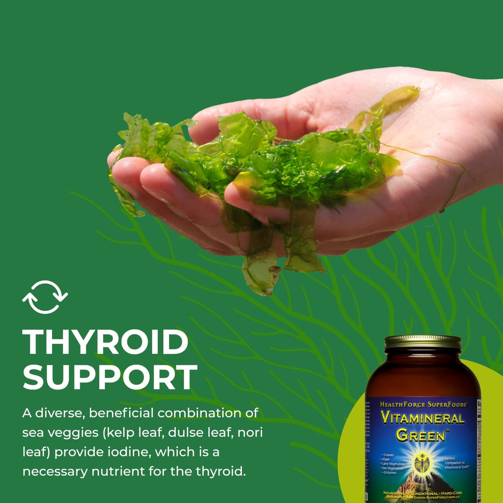 HEALTHFORCE SUPERFOODS Vitamineral Green - Mineral Supplement for Immune & Thyroid Support - Green Powder Supplement with Ingredients from The Land - Gluten-Free & Vegan - 500 Grams - TrustMedUSA