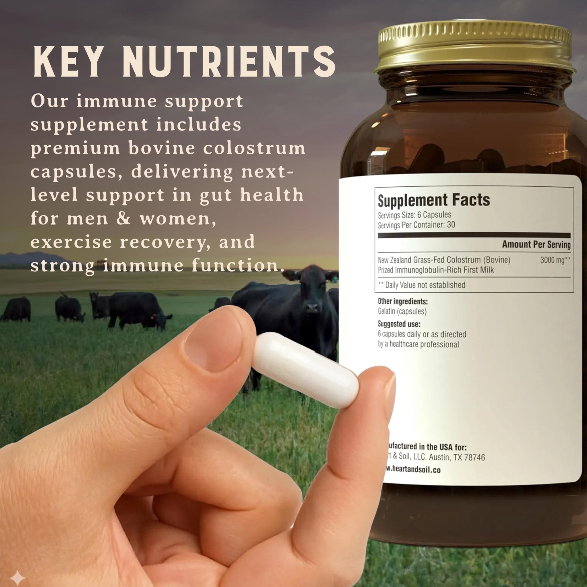 HEART & SOIL 100% Grass Fed & Finished Colostrum Supplement from Regenerative Cattle for Gut, Muscle & Immune Health – 3000mg Bovine Colostrum Capsules - Gut Health for Men & Women –180 Capsules - TrustMedUSA