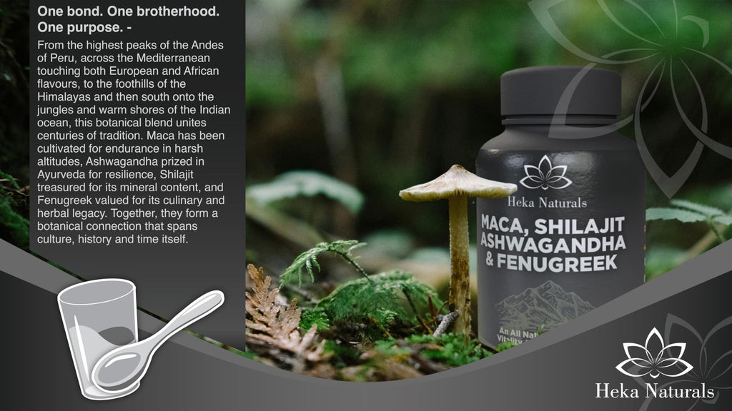 Heka Naturals Male Botanical Complex | 90 Capsules with Ashwagandha, Maca Root, Fenugreek & Shilajit | Traditional Plant-Based Ingredients for Active Lifestyles | Food Supplement - TrustMedUSA