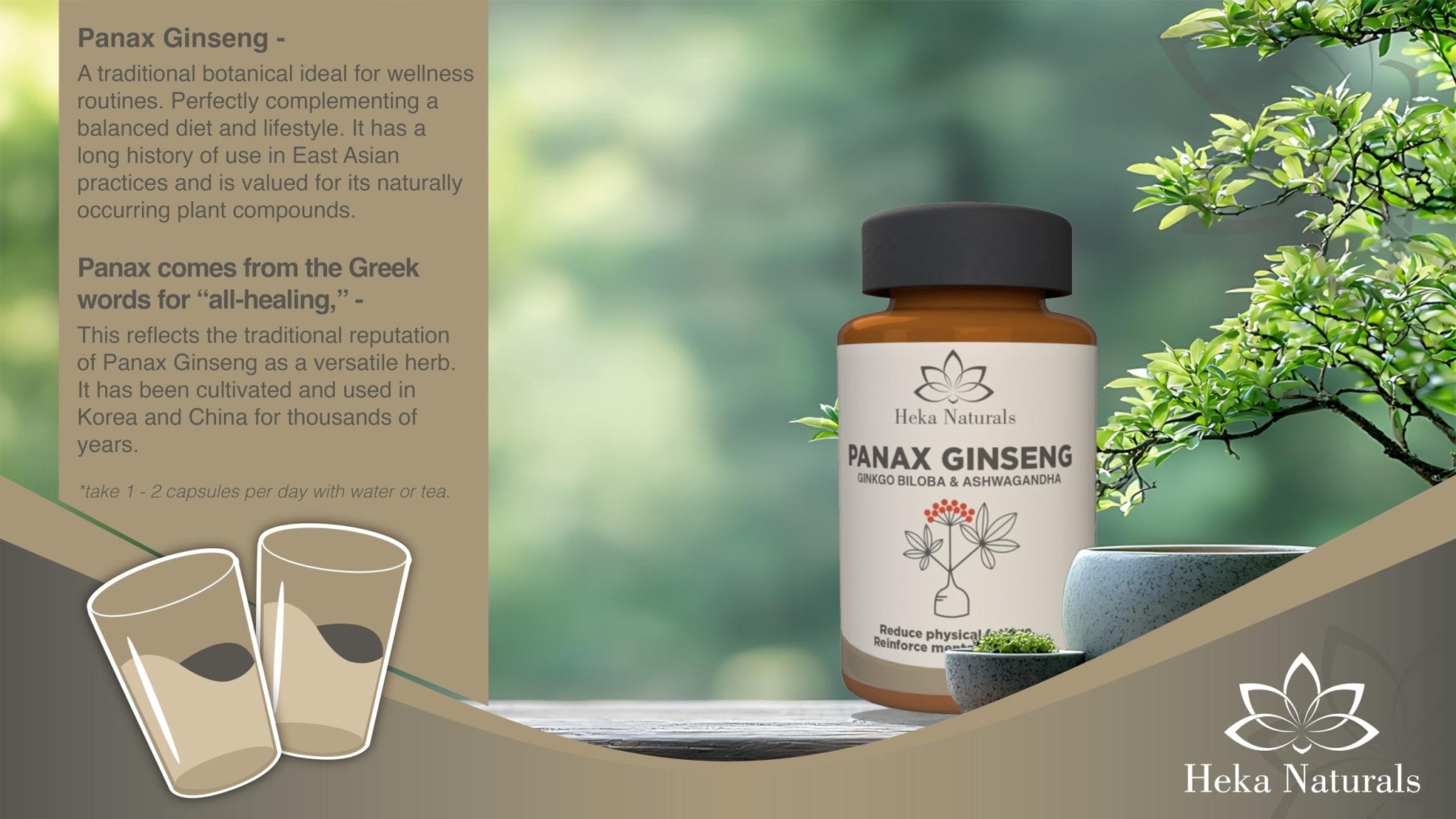 Heka Naturals Panax Ginseng Complex | 90 Capsules with Korean Ginseng, Ginkgo Biloba, Ashwagandha, Beetroot & Green Tea, Botanical Blend with Herbal Ingredients for Balanced | Food Supplement - TrustMedUSA