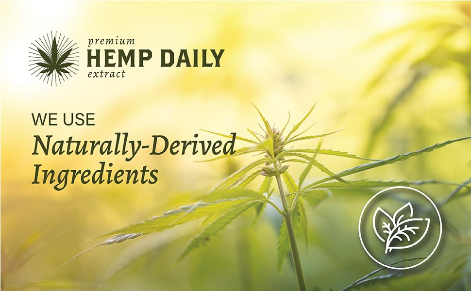 Hemp Daily Active Spray | Hemp Spray with Essential Oils | Vegan, Organic Ingredients | 2 Fluid Ounces (Original Spray, Single) - TrustMedUSA