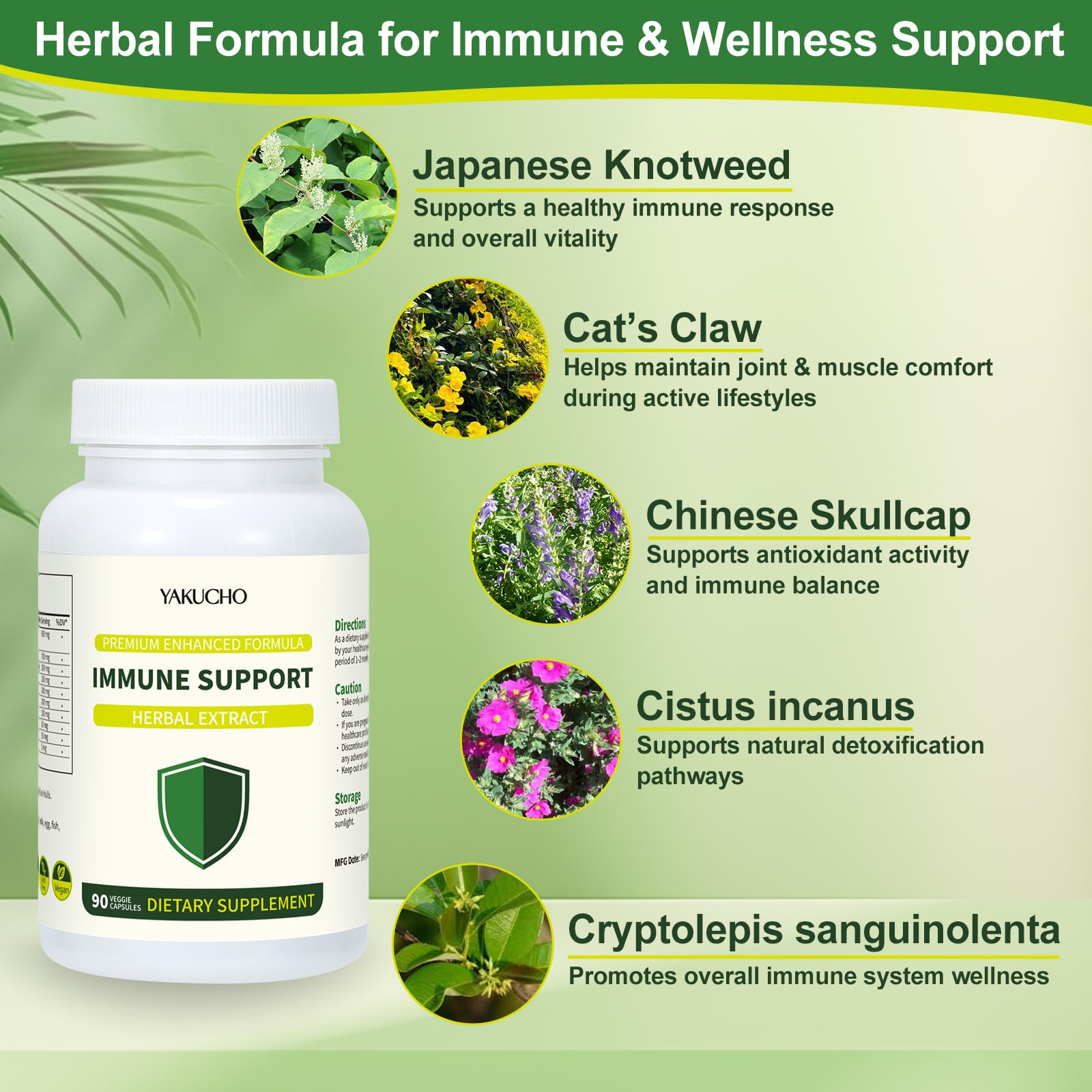 Herbal Immune Support Supplement, Vegan Capsules with Japanese Knotweed, Cat’s Claw, Skullcap & Sanguinolenta, Supports Immune Health & Overall Wellness, Gluten-Free - TrustMedUSA