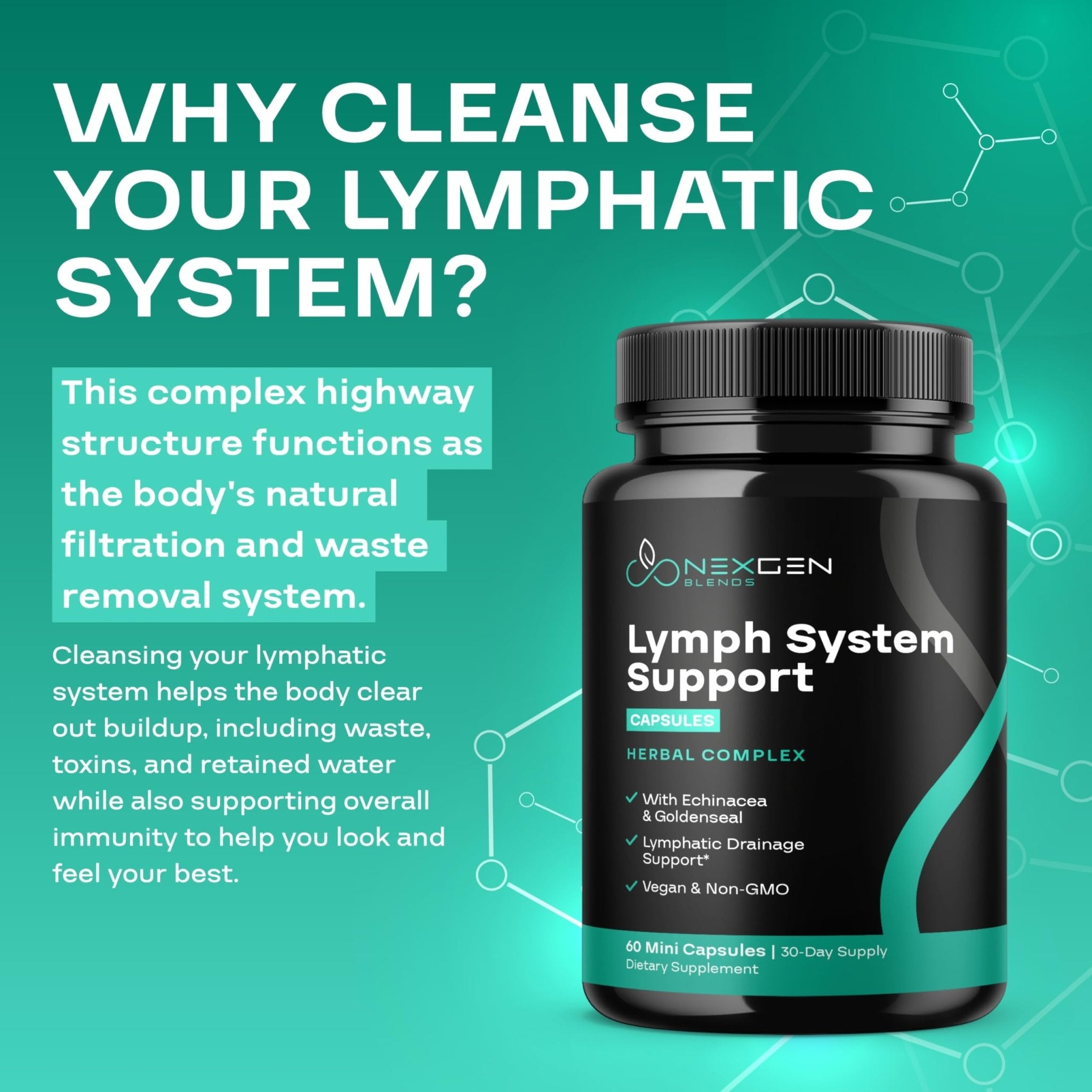 Herbal Lymph System Support Supplement - Lymphatic Support Complex with Echinacea Goldenseal Astragalus & Hydroxytyrosol for Lymphatic Drainage & Immune Support - Vegan Non-GMO Gluten Free (1 Month) - Maple Wellness Supplements
