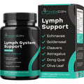 Herbal Lymph System Support Supplement - Lymphatic Support Complex with Echinacea Goldenseal Astragalus & Hydroxytyrosol for Lymphatic Drainage & Immune Support - Vegan Non-GMO Gluten Free (1 Month) - Maple Wellness Supplements