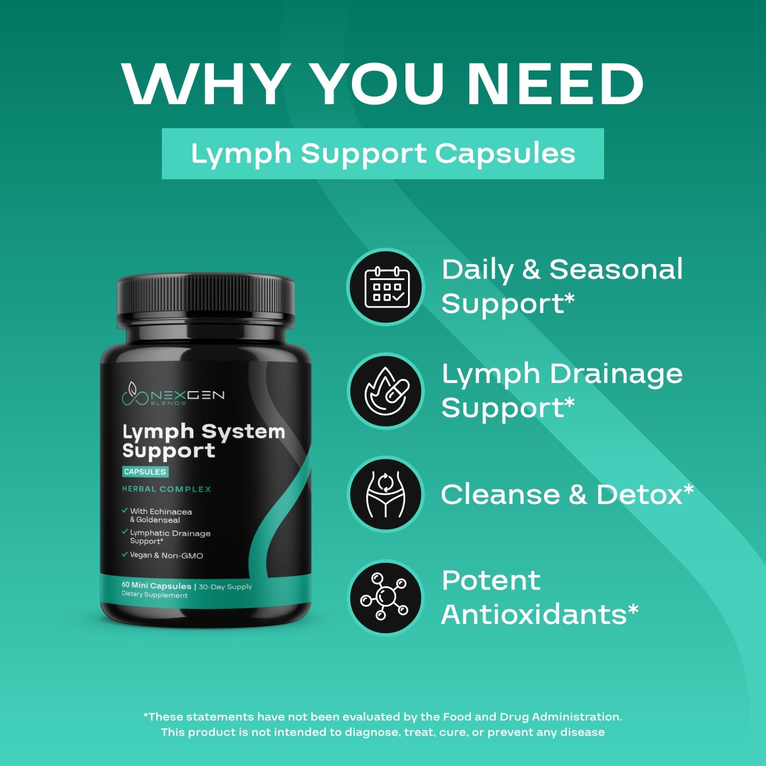 Herbal Lymph System Support Supplement - Lymphatic Support Complex with Echinacea Goldenseal Astragalus & Hydroxytyrosol for Lymphatic Drainage & Immune Support - Vegan Non-GMO Gluten Free (1 Month) - Maple Wellness Supplements