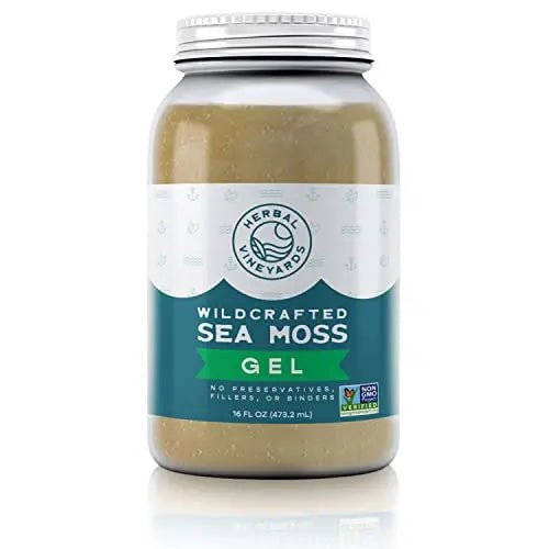 Herbal Vineyards Natural Organic Wildcrafted Gold Raw Sea Moss Gel for Immune Support - TrustMedUSA