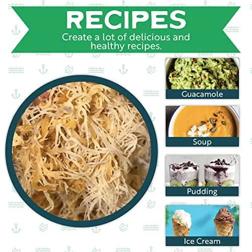 Herbal Vineyards Natural Organic Wildcrafted Gold Raw Sea Moss Gel for Immune Support - TrustMedUSA