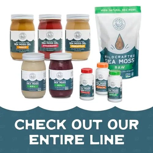 Herbal Vineyards Natural Organic Wildcrafted Gold Raw Sea Moss Gel for Immune Support - TrustMedUSA