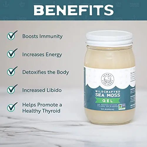 Herbal Vineyards Natural Organic Wildcrafted Gold Raw Sea Moss Gel for Immune Support - TrustMedUSA