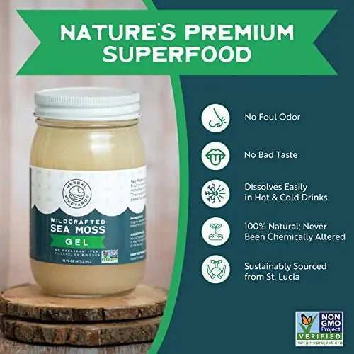 Herbal Vineyards Natural Organic Wildcrafted Gold Raw Sea Moss Gel for Immune Support - TrustMedUSA