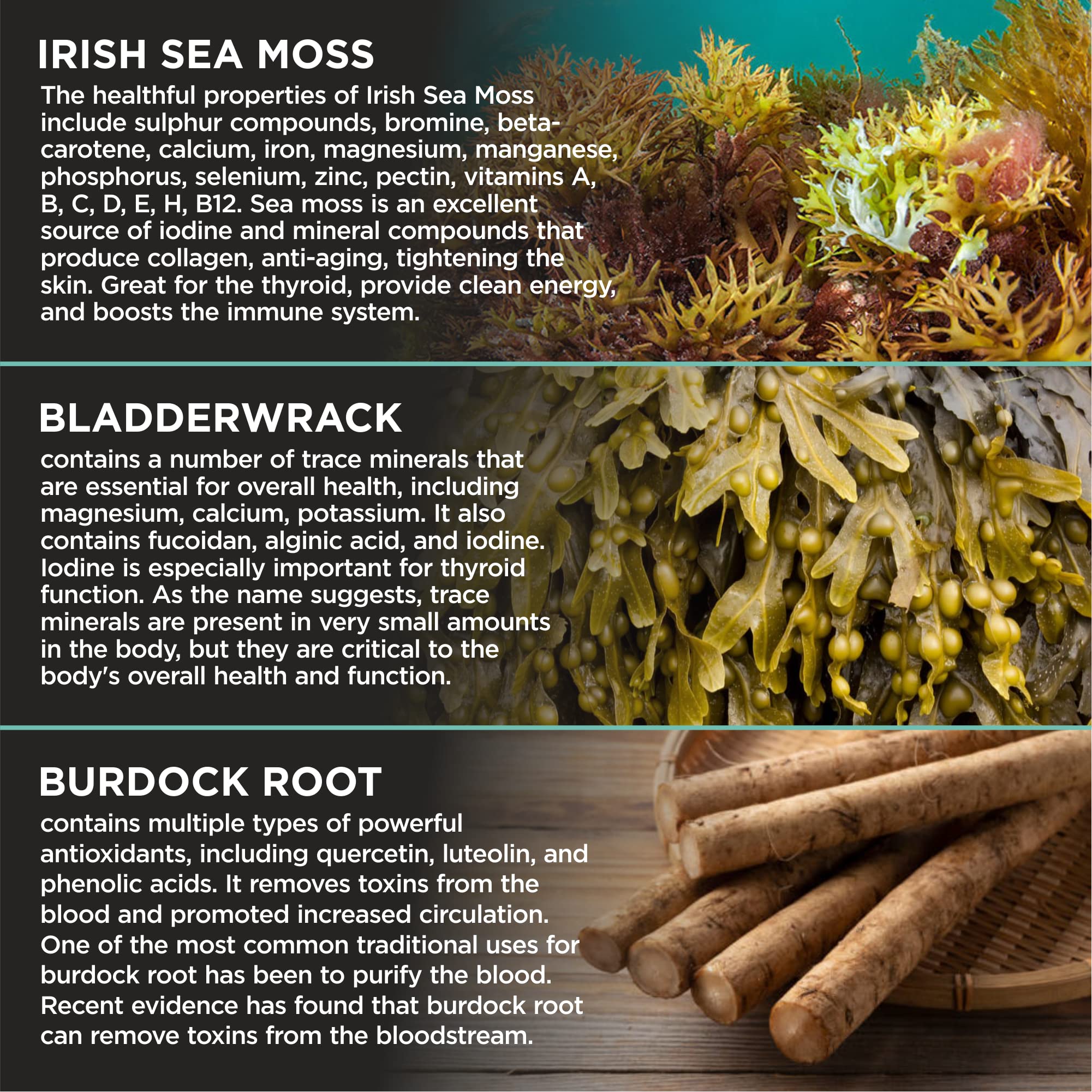 HerbaMe Organic Irish Sea Moss with Bladderwrack, Burdock Root & Black Pepper Extract, 150 Capsules, Thyroid Support, Natural Iodine Source, Promotes Immune System, Cell Food, Alkaline Supplement - Maple Wellness Supplements
