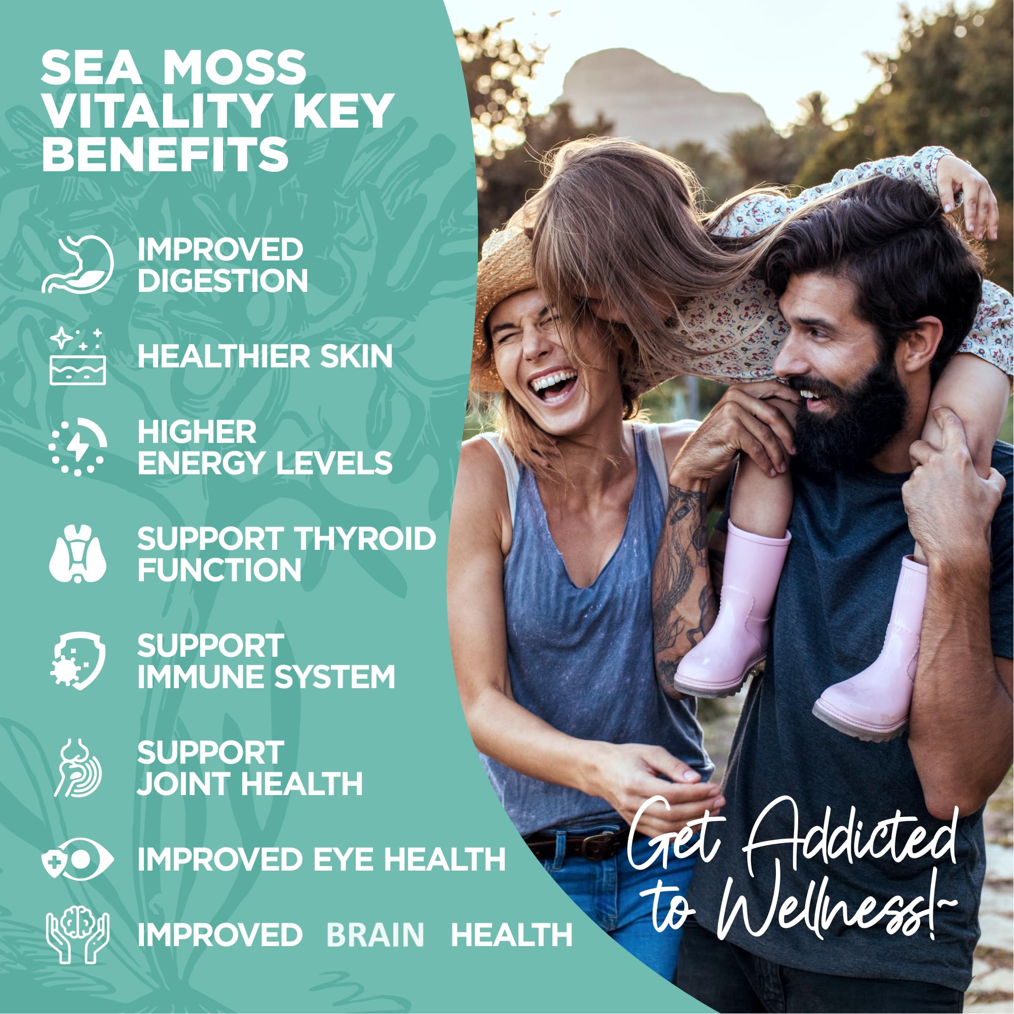 HerbaMe Organic Irish Sea Moss with Bladderwrack, Burdock Root & Black Pepper Extract, 150 Capsules, Thyroid Support, Natural Iodine Source, Promotes Immune System, Cell Food, Alkaline Supplement - TrustMedUSA