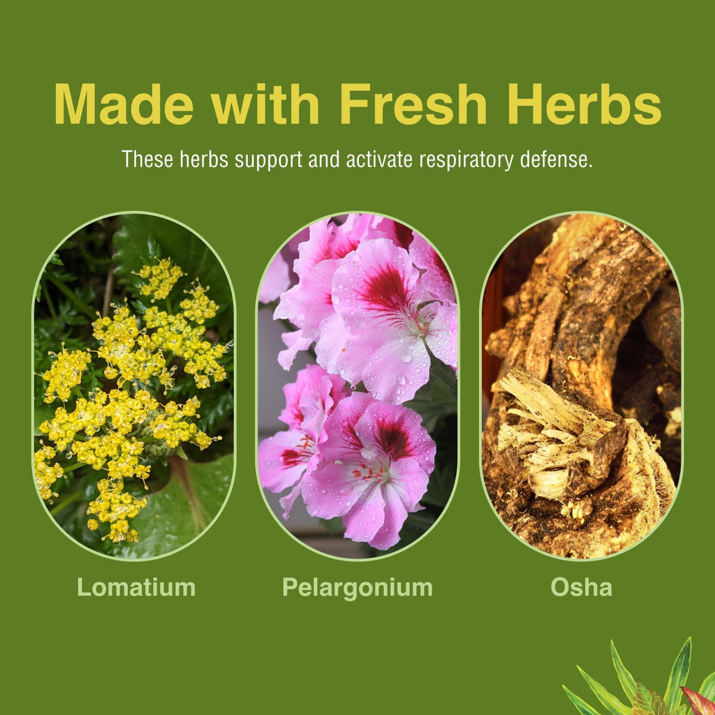 Herbs Etc. Loviral - Lung Health Supplement for Respiratory Defense & Support - Herbal Supplement with Lomatium, Pelargonium & OSHA - Gluten-Free - 60 Softgels (60 Servings) - TrustMedUSA