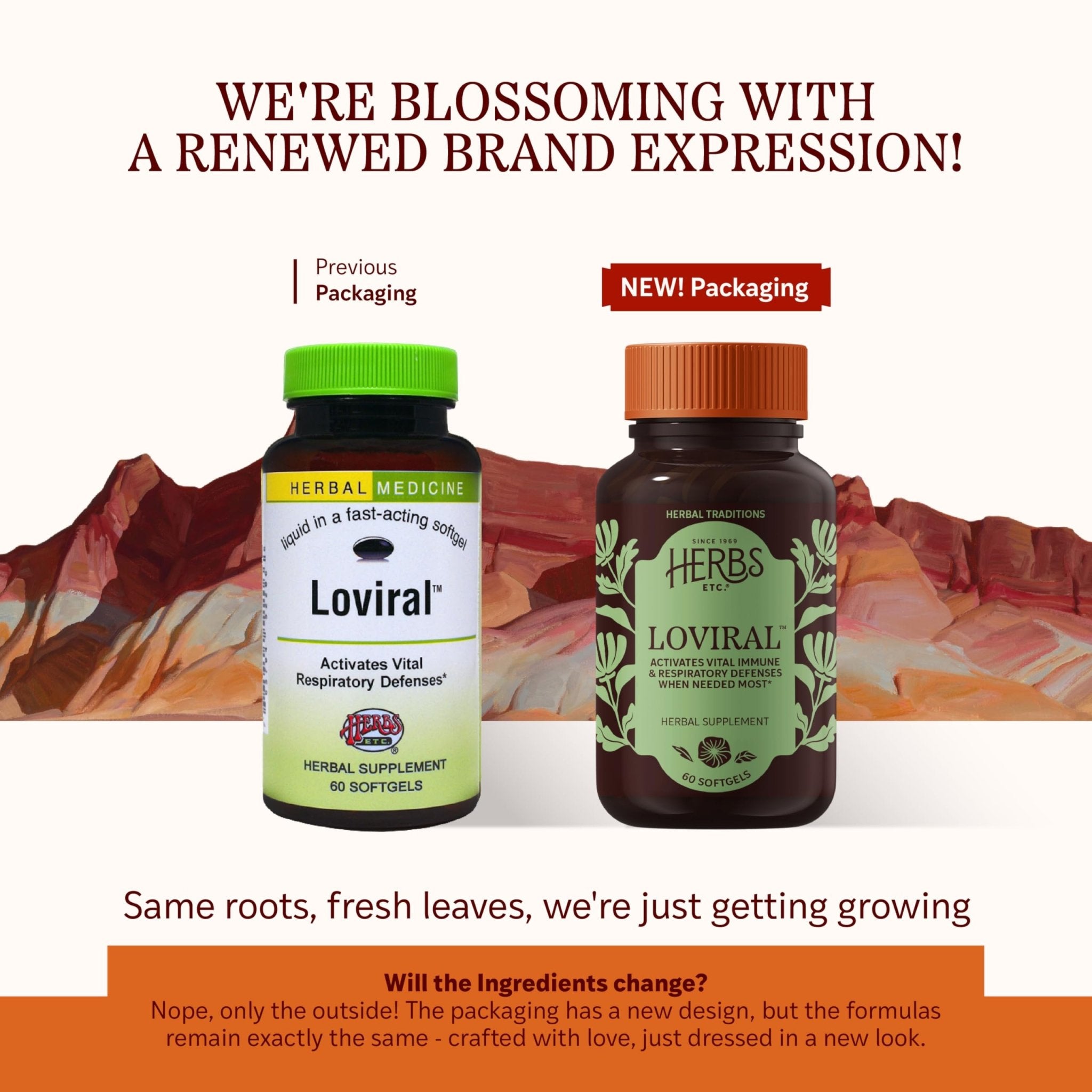 Herbs Etc. Loviral - Lung Health Supplement for Respiratory Defense & Support - Herbal Supplement with Lomatium, Pelargonium & OSHA - Gluten-Free - 60 Softgels (60 Servings) - TrustMedUSA