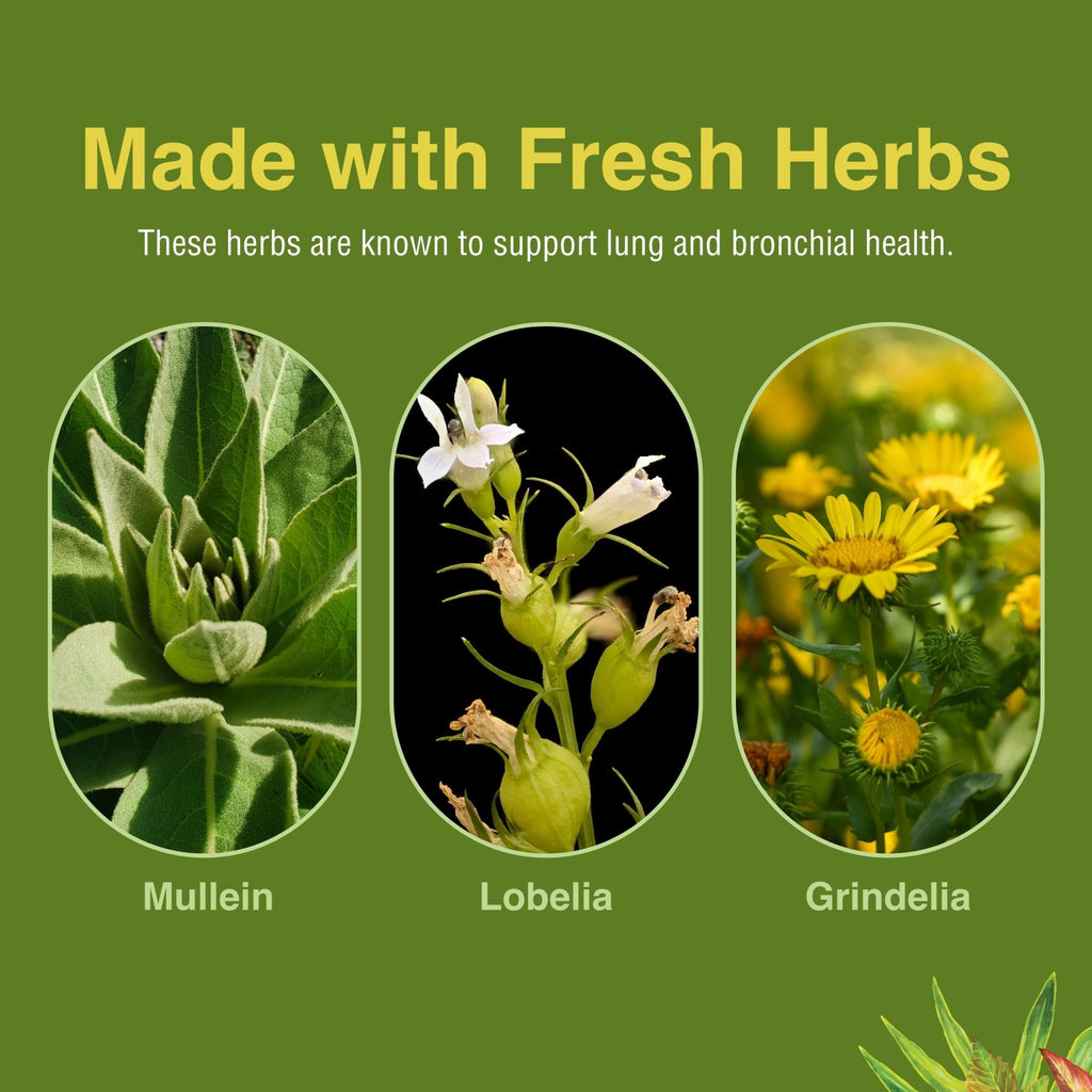 Herbs Etc. Lung Tonic - Lung Supplement for Bronchial Support - Healthy Breathing Support with Mullein, Horehound & Grindelia - 120 Softgels - TrustMedUSA