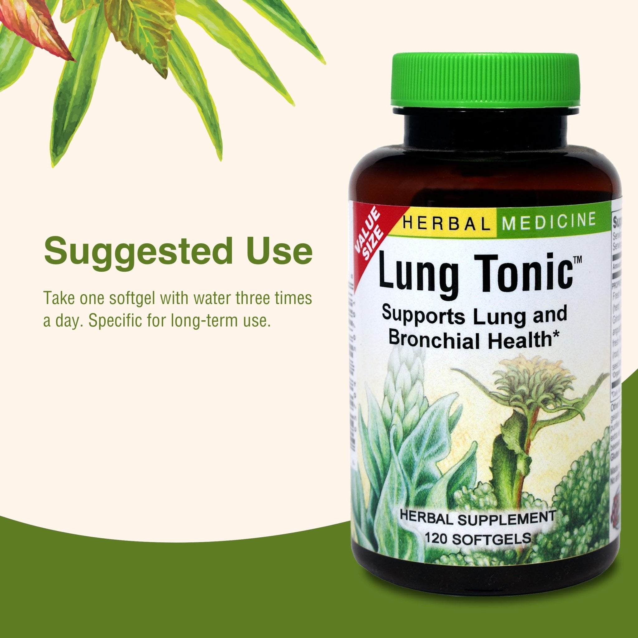 Herbs Etc. Lung Tonic - Lung Supplement for Bronchial Support - Healthy Breathing Support with Mullein, Horehound & Grindelia - 120 Softgels - TrustMedUSA