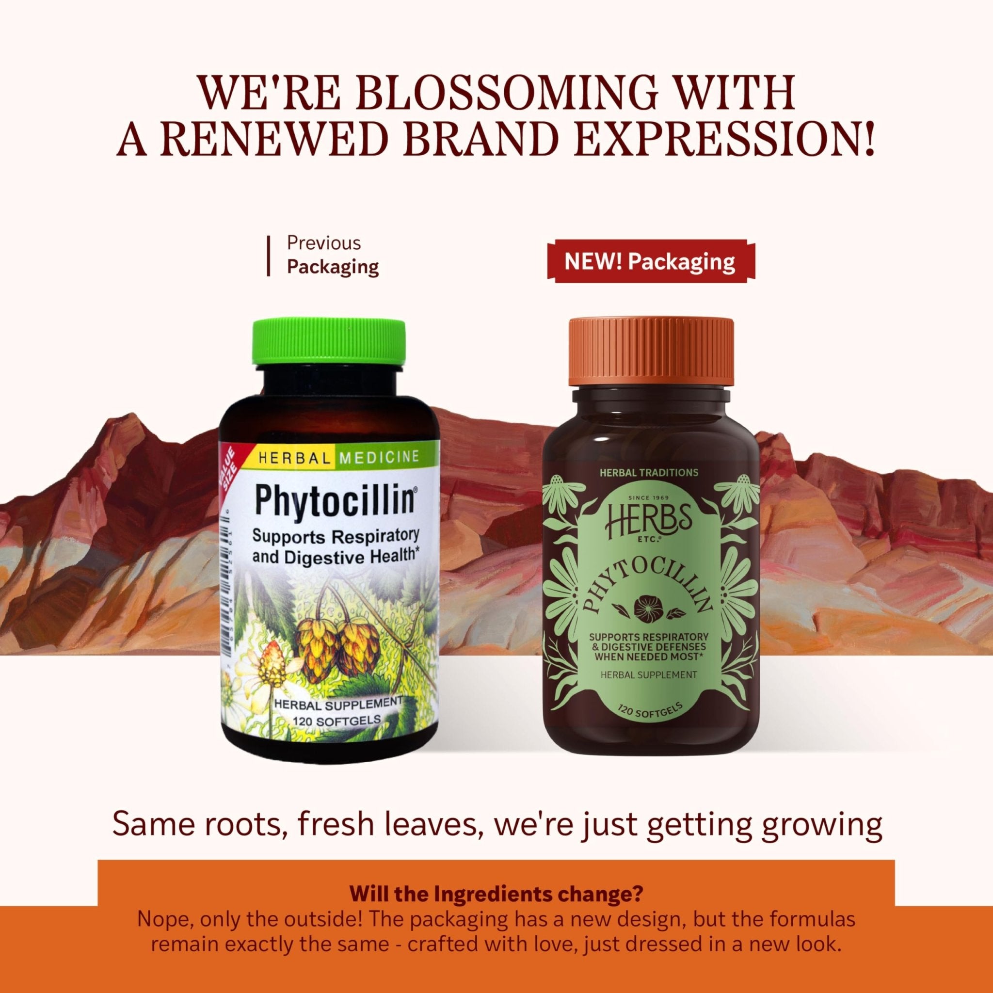 Herbs Etc. Phytocillin - Respiratory & Digestive Health Support Supplement - Herbal Formula to Support Digestion - Support Healthy Breathing - 120 Softgels (120 Servings) - TrustMedUSA